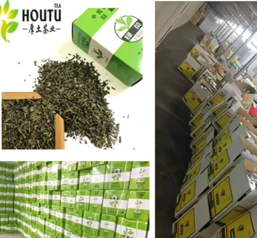 China Green Tea Chunmee 9367 Libya With Low Price 250g Packing